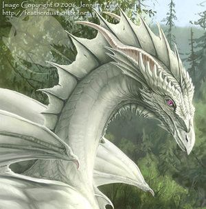 dragon blanc